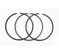 SEGMAN H1 08-/SORENTOSTAREX/PORTER H100  KMYNT 04- 140/170 BG STD