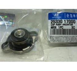 HYUNDAI  ACCENT 95-00 RADYATÖR KAPAĞI GENEL FYC
